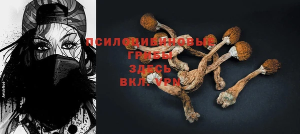 дурь Михайлов